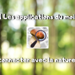 Les applications du mois : te reconnecter avec la nature : Champignouf (2/4) #1
