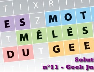 Les mots mêlés du geek - solution n°11