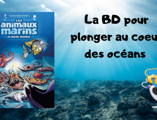 Animaux marins BD T6