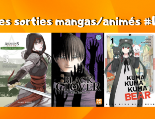 Les sorties mangasanimés #10