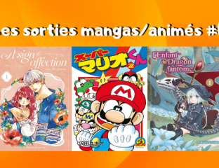 Les sorties mangasanimés #11