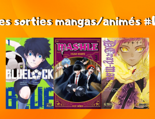 Les sorties mangasanimés #12