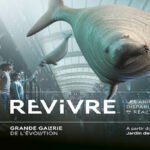REVIVRE : le musée des animaux disparus en réalité augmentée