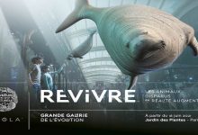 Affiche_REVIVRE