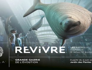 Affiche_REVIVRE