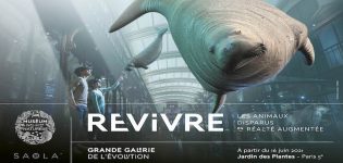 Affiche_REVIVRE