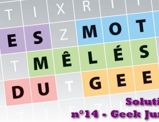 Mots mêlés Geek Junior n°14