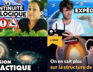 Apprendre avec YouTube #219