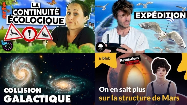 Apprendre avec YouTube #219