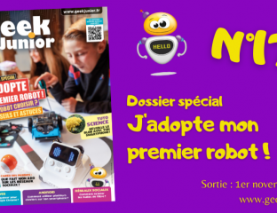 Geek Junior n°17