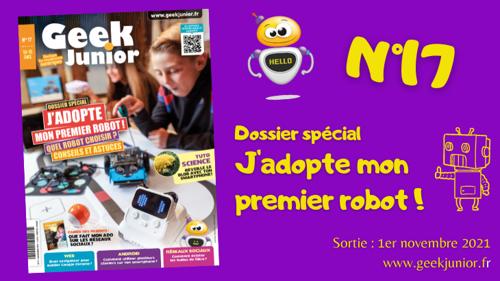 Geek Junior n°17