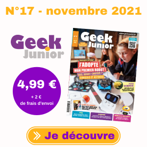 Geek Junior n°17
