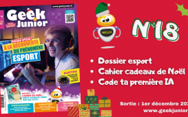 Geek Junior n°18
