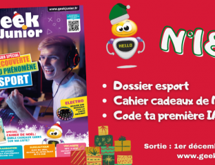 Geek Junior n°18