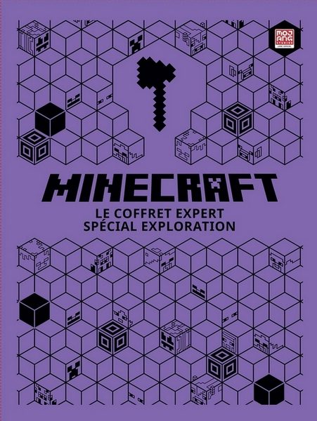 coffret minecraft