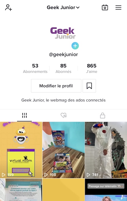 Tiktok Stories Geek Junior