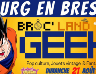 Broc' Land Geek