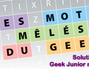 Mots mêlées Geek Junior n°26