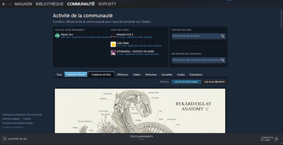 STEAM communauté