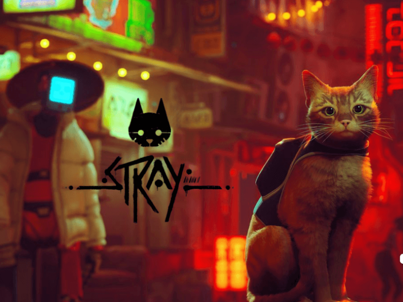 Stray