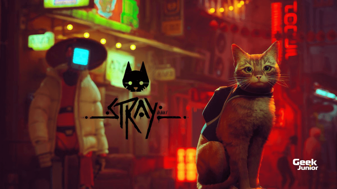 Stray