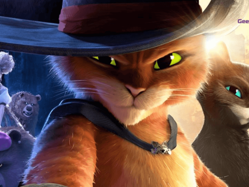 LeChatPotté2