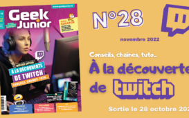 Geek Junior n°29