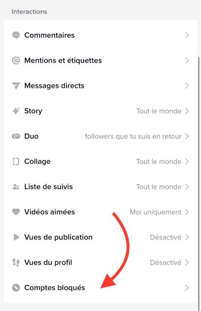 Débloquer compte Tiktok (Geek Junior) Confidentialité E4