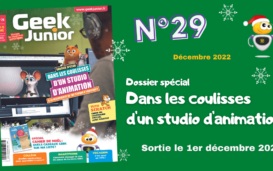 Geek Junior n°29