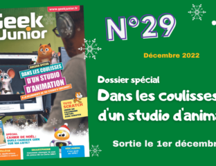 Geek Junior n°29