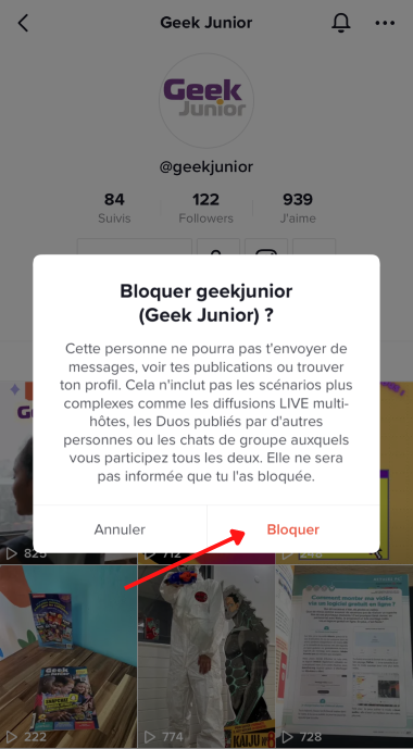 Geek Junior Bloquer un compte Tiktok