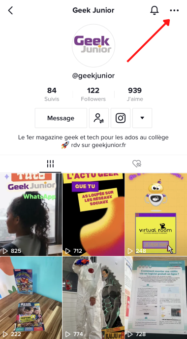 Profil Bloquer un compte Tiktok Geek Junior