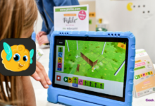 Pistile jeu code et nature