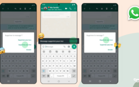 Suppression accidentelle WhatsApp
