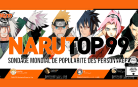 Vote meilleur personnage Naruto