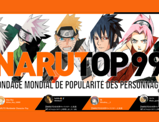 Vote meilleur personnage Naruto