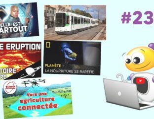 Apprendre avec YouTube #230