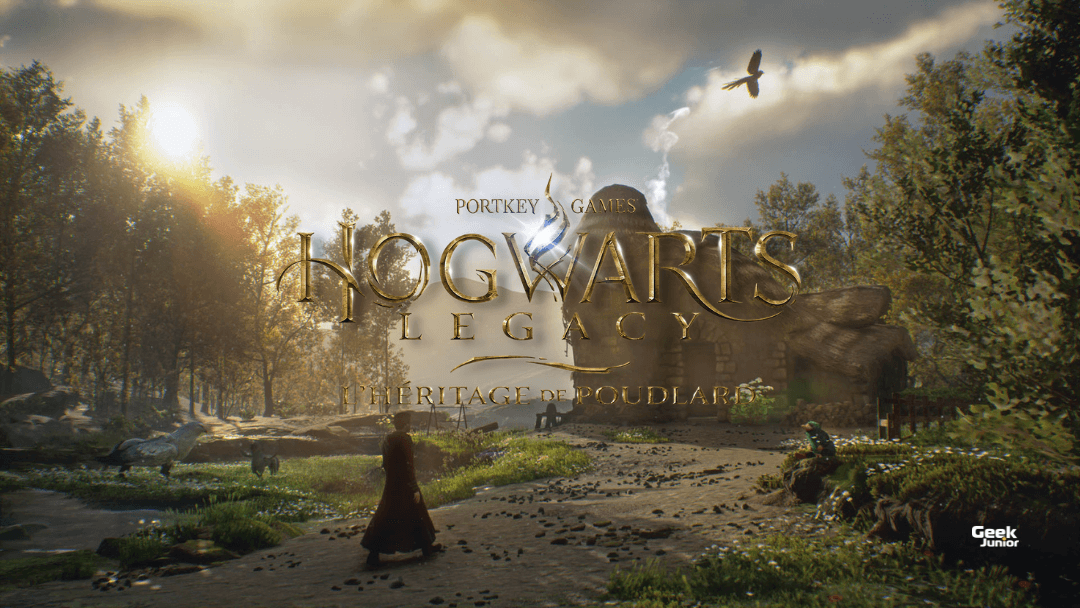 Pas de DLC pour Hogwarts Legacy L’Héritage de Poudlard…