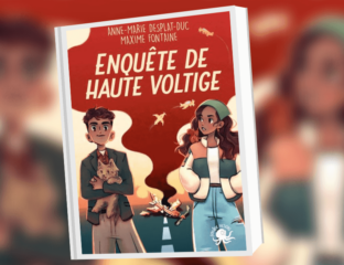 Sortie roman Enquête de haute voltige