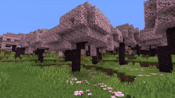 biome-fleur-de-cerisier-minecraft-1200x675