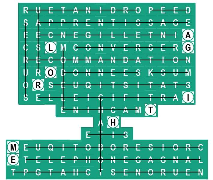 Grille mots mêlés n°33