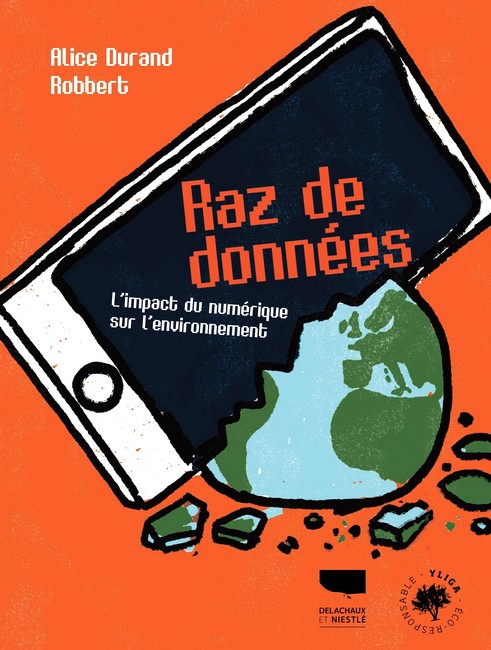 raz donnees 1