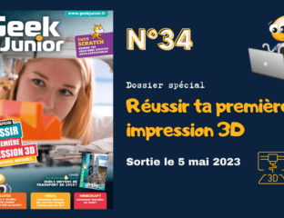 Geek Junior n°34