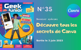 Geek junior n°35