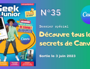 Geek junior n°35