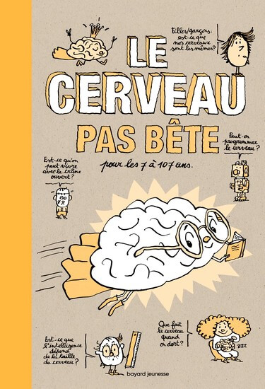 cerveau