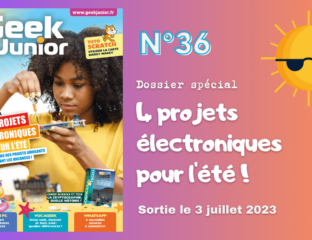 Geek Junior n°36