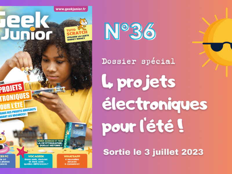 Geek Junior n°36