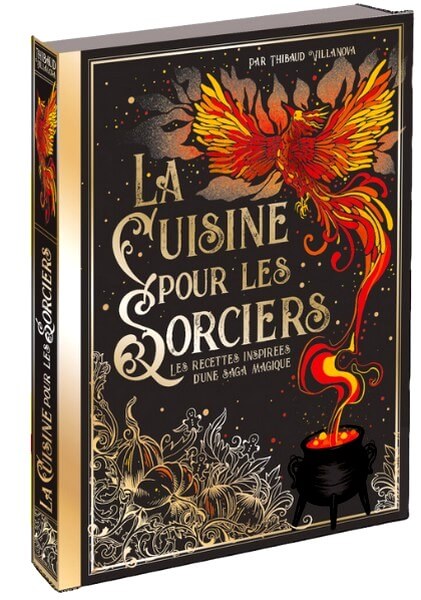 cuisine pour les sorciers 1