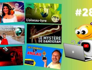 Apprendre avec YouTube 286